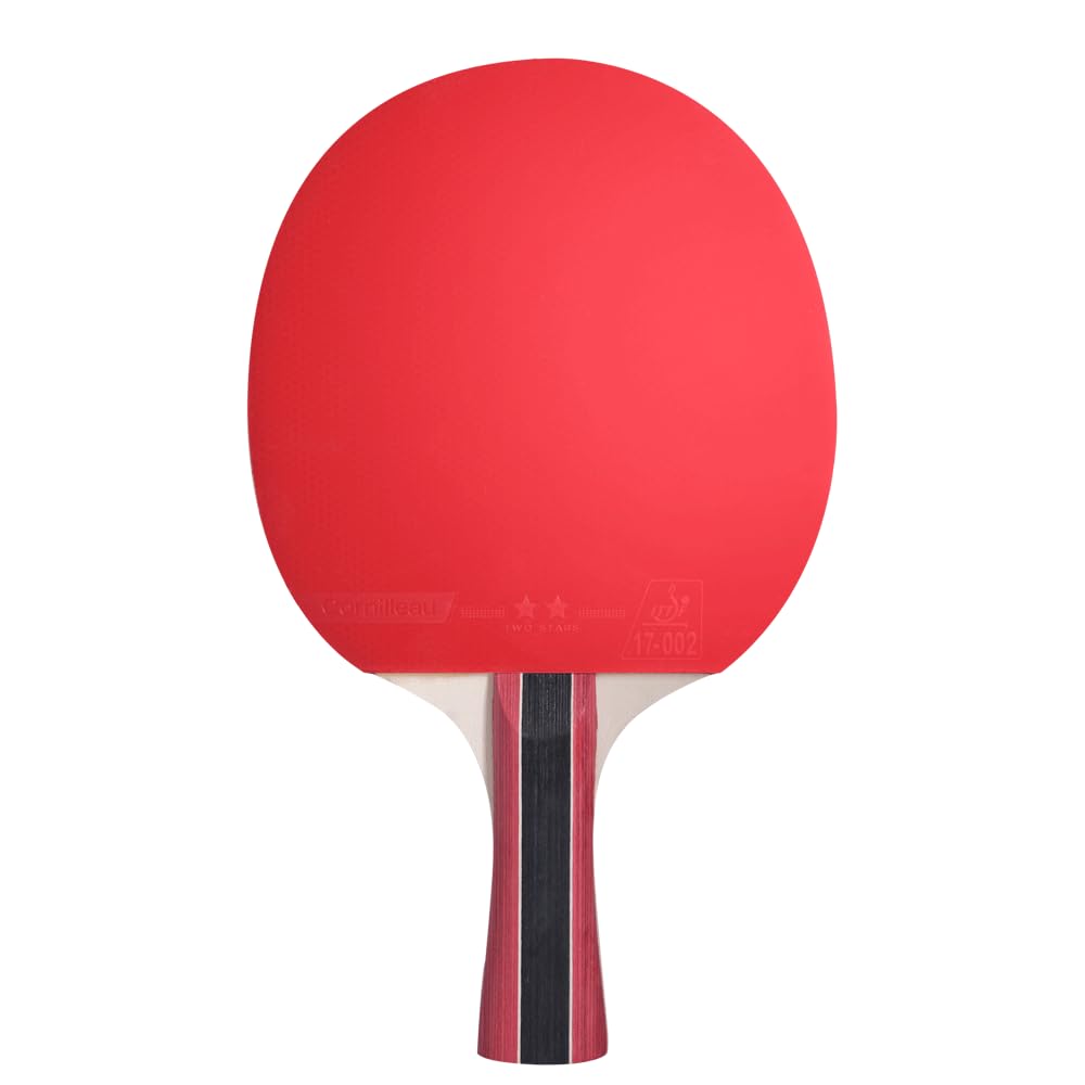 Cornilleau Sport 300 Indoor Tischtennisschläger Allround