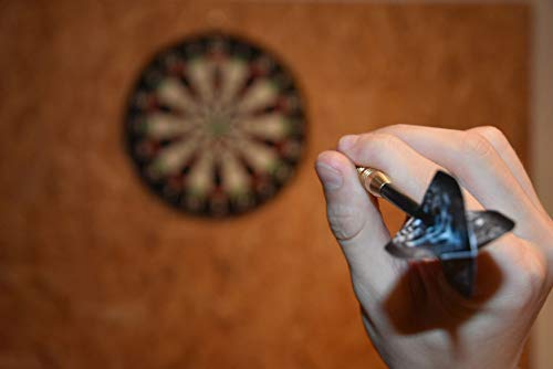 Sunflex Youngster Phantom Dartpfeile Mehrfarbig 23 g