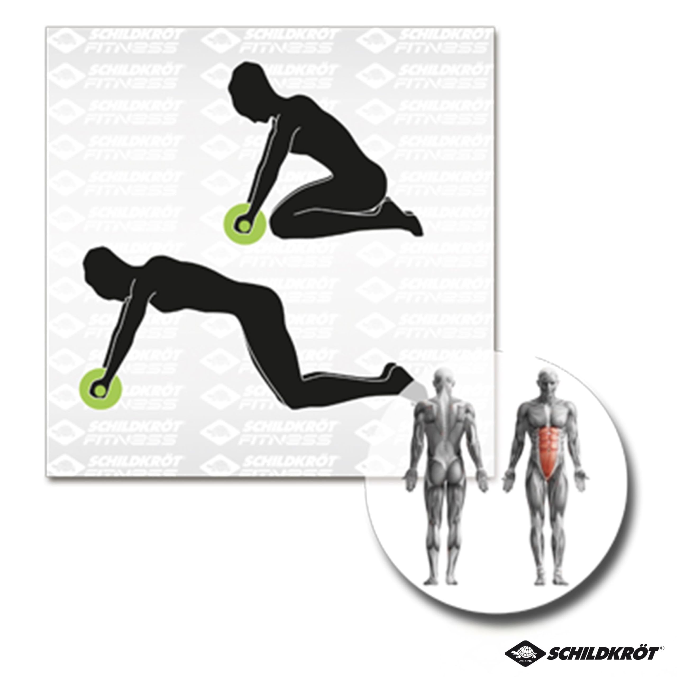 Schildkröt Outdoor AB Roller Bauchtrainer Duo Wheel