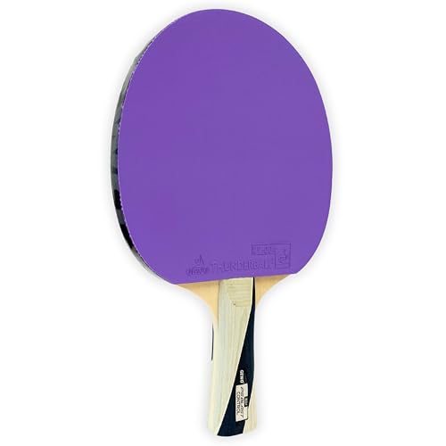 GEWO Player PS Blast Control Tischtennisschläger ITTF