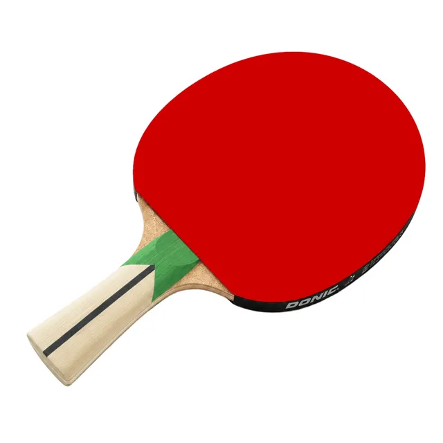 Schildkröt Top Team 400 Tischtennisschläger anatomisch